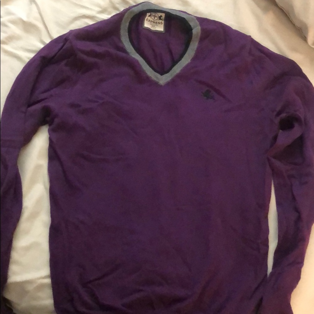 Purple express v neck sweater